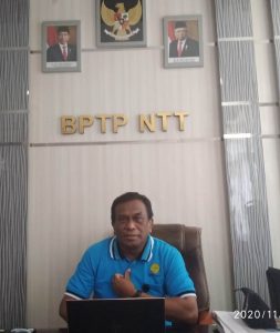 NTT Memiliki Spesifikasi       Khusus untuk  Pengembangan  Sektor Pertanian dan Peternakan