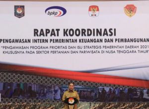 Wagub NTT  :Program Kerja Harus Punya Dampak Produktif  Untuk Masyarakat