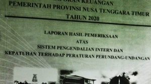 Hasil Temuan BPK  Perwakilan NTT: Program PMT Desa Model Senilai Rp 39,9 M   Diduga Salah Sasaran