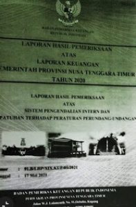 PT. Flobamor Dibayar 100% Sebelum Adakan Beras JPS Covid Senilai Rp 71,7 M