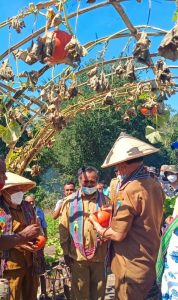 Bupati TTU Apresiasi Hasil Tanaman  Holtikura  Kelompok Tani  Kompeni