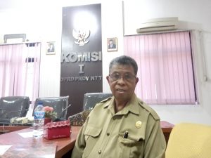 Fraksi  Solidaritas Pembangunan   Minta   Pemprov NTT  Segera  Realisasikan   Pembayaran Insentif  Tenaga Kesehatan  Juli-September 2021.