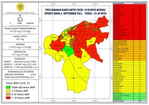 Pasien Covid-19 Sembuh Kota Kupang  Bertambah 119 Orang.