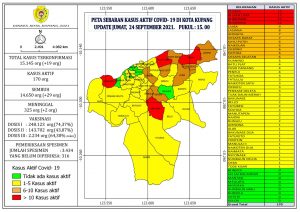 Pasien Covid-19 Sembuh di Kota  Kupang Bertambah 29 Orang
