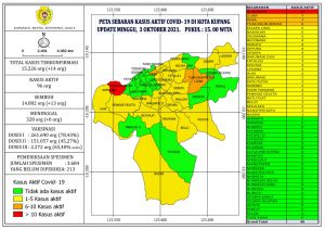 Pasien Covid -19 Di  Kota  Kupang Yang Sembuh Bertambah 13 Orang