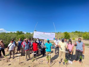Peduli Lingkungan,   PLN & DLH Kabupaten Kolaborasi  Sikka   Tanam 2.000 Anakan Mangrove