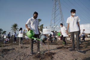 Rayakan Hari Listrik Nasional, PLN   Wilayah NTT  Luncurkan One Man One Kelor Tree
