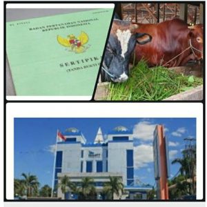 Diduga Agunan PT.Budimas Pundinusa Untuk Kredit Rp 130 M di Bank NTT  Bodong