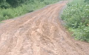 PT.SAK Kerja Jalan Rp 12 M  Didiga Tanpa Papan Proyek menggunakan Urpil Berlumpur