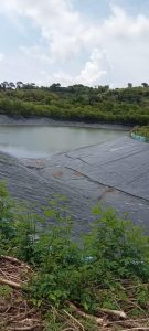 Embung Hombawela Senilai Rp 17 M Tak Berfungsi Diduga  Lapisan Geomembran Bocor