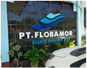 Diduga PT. Flobamor Tidak Setor Deviden Rp 1,6 M ke Pemprov NTT, Jadi Temuan BPK