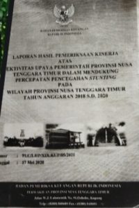 Diduga Proyek Stunting Dimonopoli Oleh “Dinas” PKK NTT