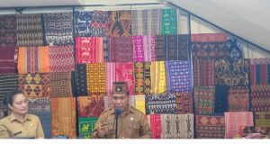 Dorong Konservasi Lingkungan,  Pemprov NTT   Target Pengunjung  Kawasan Taman Nasional Komodo 200.000  Per Tahun