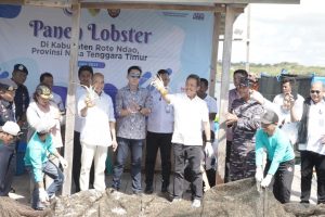 Gubernur VBL bersama Menteri KKP Panen Lobster di Kawasan Mulut Seribu Rote Ndao