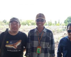 Peduli Lingkungan,  Pemprov NTT  Siap Tanam 909  Pohon