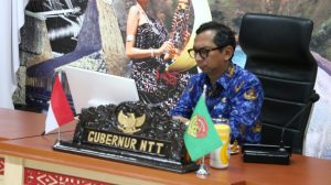 Pj. Gubernur NTT mengikuti Rapat Koordinasi Pengendalian Inflasi Tahun 2024 secara virtual