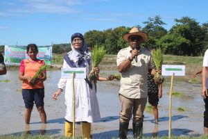 Alexon Lumba  Ajak  Semua   Komponen Bersinergi  Jadikan Kabupaten Kupang Sebagai lumbung pangan