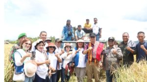 Pj. Gubernur Andriko Susanto Dorong Tingkatkan Produksi Pertanian Padi di TTS