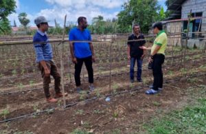 Inovasi IoT untuk Pertanian : Teknologi Irigasi Tetes Ciptakan Perubahan di Desa Oemat