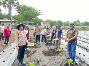 Dukung Program Swasembada Pangan Polres TTU Gelar Tanaman Hortikultura