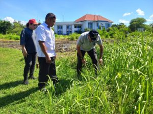 Plt Sekda Pantau Langsung Kerja Bakti Dan Siap Menyambut Kedua  Pemimpin Baru Kabupaten Kupang