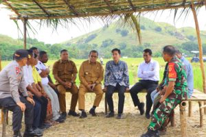 Percepat Realisasi Swasembada Pangan, Wapres Gibran Rakabuming Didampingi Gubernur NTT Serap Aspirasi dan Serahkan   Bantuan   10 Unit Traktor Serta  Pompa Air  Bagi  Petani Kolisia, Kabupaten Sikka
