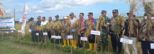 Dukung  Desa Bena Sebagai Lumbung Padi,  Anggota DPR RI Usman Husin Siap Berikan 2 Unit  Combine Harverter dan 75 Ton Padi Unggul