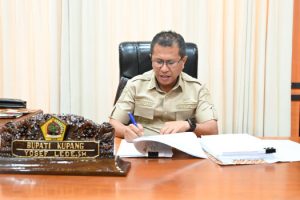 Tingkatkan Pelayanan Birokrasi,  Bupati Kupang   Resmi Tandatangani  SK P3K   Tahap I