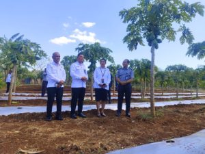 Transformasi dari Balik Lapas Kupang : Politani Kupang Puji Kebun SAE Lapas yang Produktif