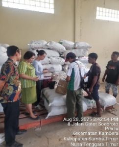 Wujudkan Aspirasi Rakyat, Usman Husin Kembali  Distribusikan 50 Ton Bibit Padi Unggul ke Ratusan Kelompok Tani di Sumba Timur