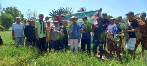 80 Ton Bawang Merah Tembus Pasar Luar NTT, Usman Husin: Ini Bukti Petani Kupang Hebat dan siap Bantu Alsintan Bagi  Petani  Oesao