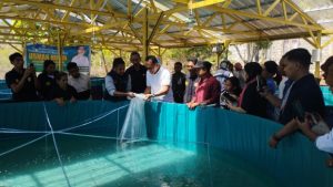 Dukung Ketahanan Pangan, Usman Husin Salurkan 15.000 Bibit Ikan Lele ke Petani TTS