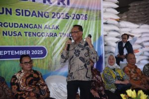 Komisi IV DPR RI Kawal Ketat Distribusi Pangan, Usman Husin: Bulog Harus Jadi Garda Depan Ketahanan Pangan