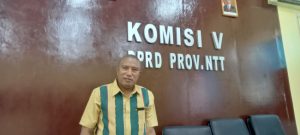 Wakil Ketua Komisi V DPRD NTT Desak Pemerintah Pusat Evaluasi Layanan PLN, Ratusan Siswa Gagal Tes Kompetensi Akademik