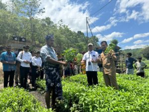 Electrifying Agriculture: Revolusi Listrik yang Mengubah Wajah Pertanian Sumba
