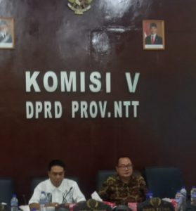 Komisi V DPRD  Desak Pemprov Distribusi 200 PPPK RSJ Naimata ke Daerah  dan Gratiskan Ambulans  untuk Rakyat Kurang Mampu