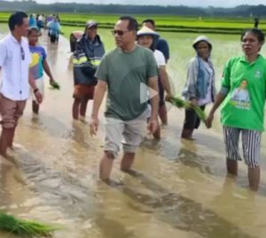 Wujudkan Ketahanan Pangan di NTT, Usman Husin Minta Kementan Segera Benahi Data Petani