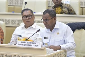 RDP Komisi II DPR RI: Wagub NTT Tekankan Infrastruktur Perbatasan Harus Jadi Prioritas Nasional