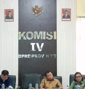 Komisi IV DPRD NTT Evaluasi Pelayanan Penerbangan 2026 Bersama Dishub, Angkasa Pura, Garuda dan Lion Air