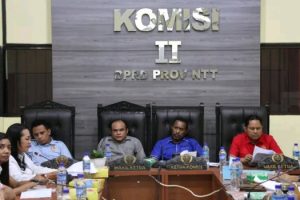 Komisi II DPRD NTT Evaluasi Kinerja Disperindag 2025, Matangkan Program 2026