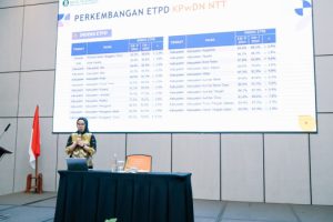 Capacity Building TP2DD Perkuat Implementasi Digitalisasi di Provinsi NTT