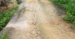 10 Tahun  Terisolasi dan Anak Tak Bisa Sekolah, Warga Sulit ke Puskesmas: Jalan Rusak di Taebenu Butuh Perhatian Nasional