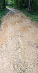 20 KK di Baumata Terisolasi  Saat Hujan, Warga Desak Pemerintah dan Balai Jalan Nasional Turun Tangan