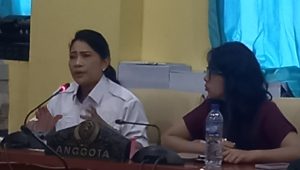 Renny Un Dukung Penuh Ranperda Kesehatan Jiwa: 548 Ribu Warga NTT Butuh Penanganan Serius