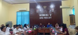 NTT Masuk 5 Besar Gangguan Mental Tertinggi, Komisi V DPRD Desak Ranperda, 548 Ribu Warga Terdampak