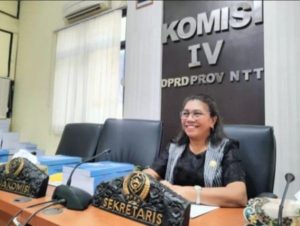 Komisi IV DPRD NTT Soroti Infrastruktur Amfoang dan Dugaan Monopoli Elpiji, Pemerintah Pusat Diminta Bergerak
