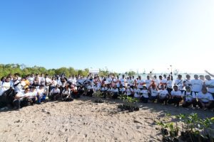 HUT ke-25 PLN NTT, 57.750 Mangrove Siap Hijaukan Pesisir