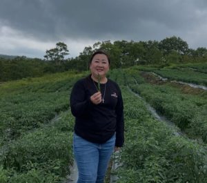 Jane Natalia Suryanto Kembangkan Cabai Besar di Belu, Dorong Ekonomi Rakyat dan Buka Lapangan Kerja Baru