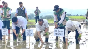 Usman Husin Serukan Dukungan Penuh untuk Petani di Gerakan Tanam Serempak 52 Ribu Hektare