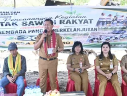 Sukseskan Swasembada Pangan Nasional, Bupati  Yosef Lede Pimpin Langsung Cetak Sawah Baru di Oelatimo
